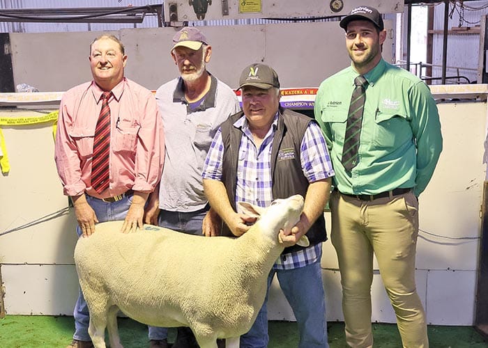 Anna Villa holds 60th annual sale post image