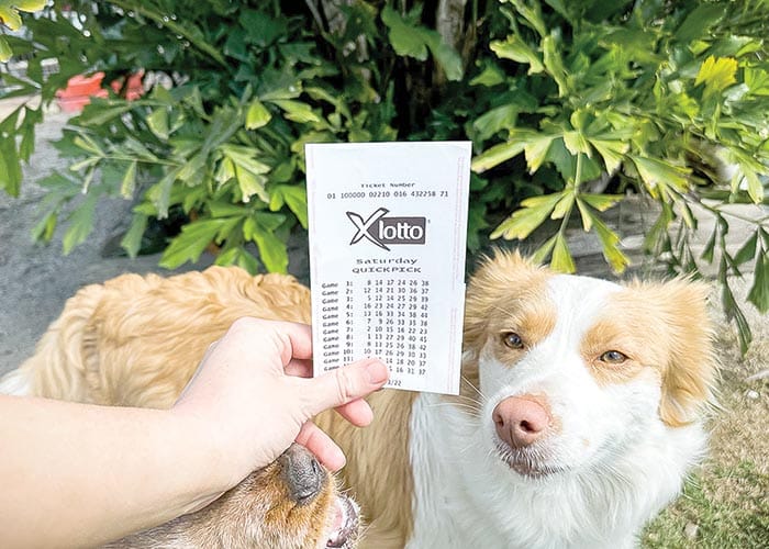 X Lotto win for Yorke Peninsula man, partner and their two dogs post image