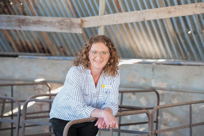 Devoted to rural property and agribusiness markets post image