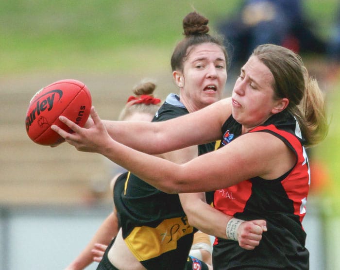Biddell stars but Westies lose SANFLW grand final post image