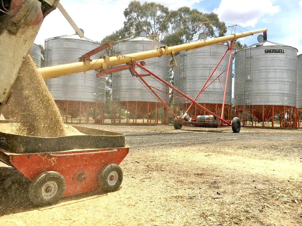 Managing high moisture grain post image