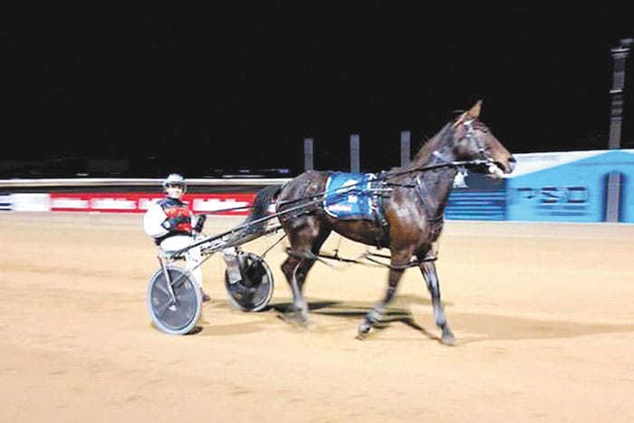 YP Harness Racing Club post image