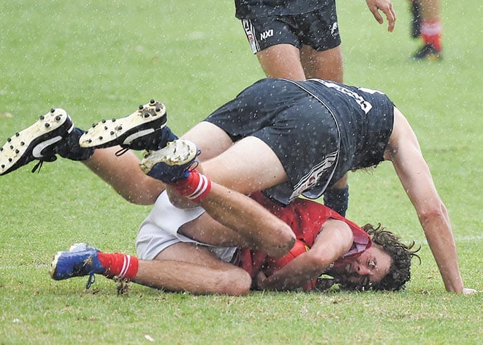 Cougars take points in entertaining clash post image