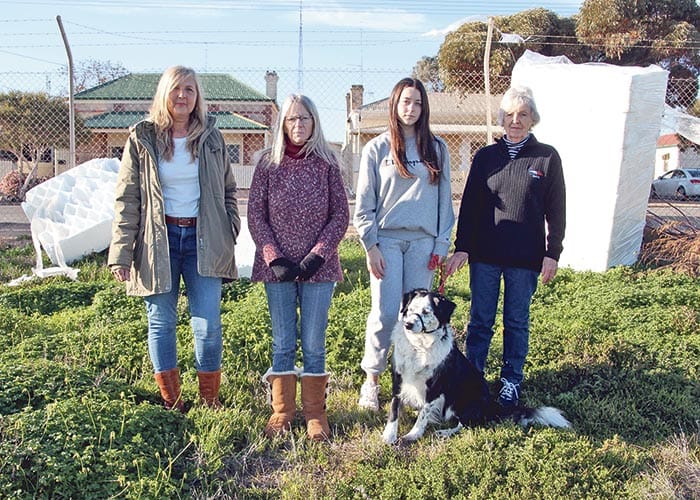 Building materials a load of rubbish post image