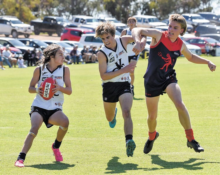 YPFL senior colts first semifinal - Cougars keep their season alive post image