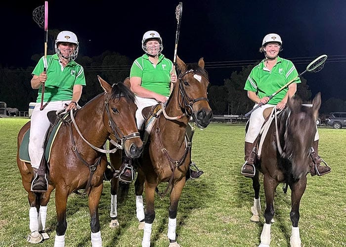 YP polocrosse post image