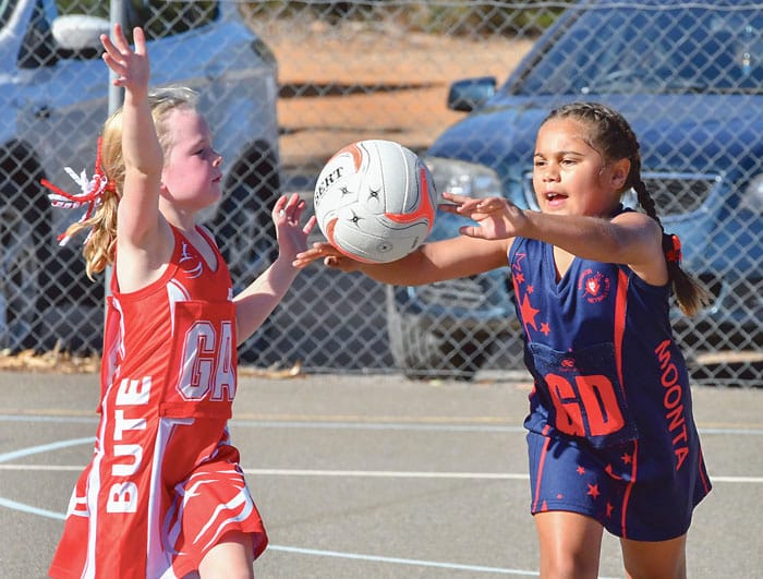 Netball: Yorke Peninsula scores and reports post image
