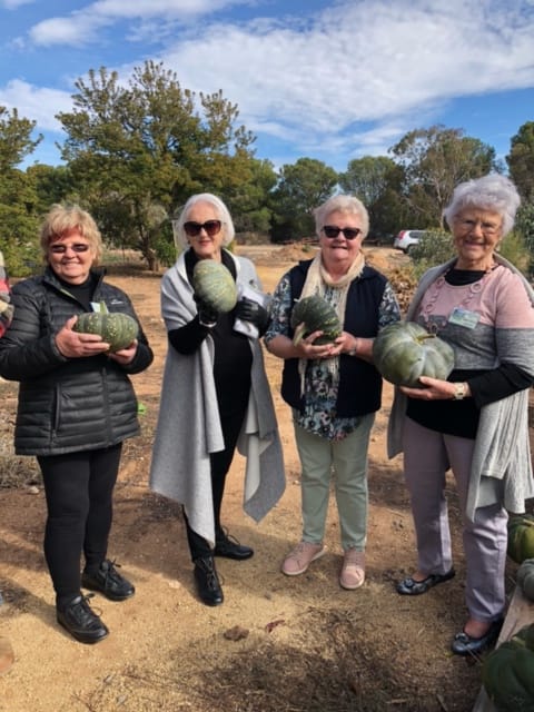 Kadina Cottage Garden Club's year to date post image