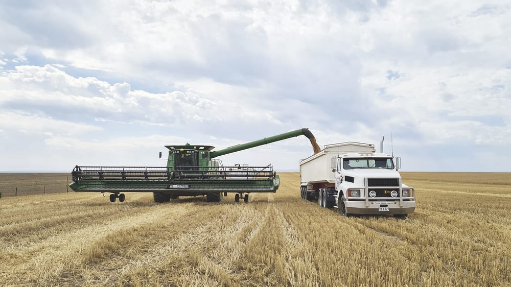 SYP farmers happy with strong results post image