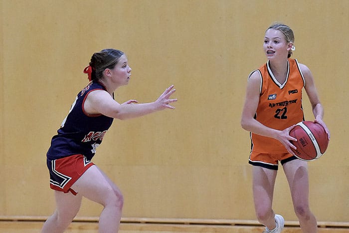 Basketball: Yorke Valley scores post image