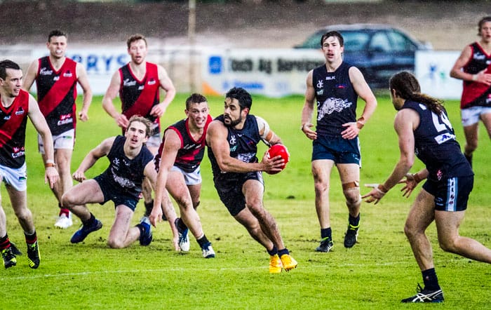 Bates back with Cougars post image