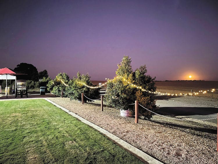 Strums Under the Stars at Barley Stacks post image