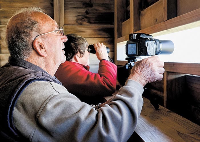 Eggs-citing times for Coobowie post image