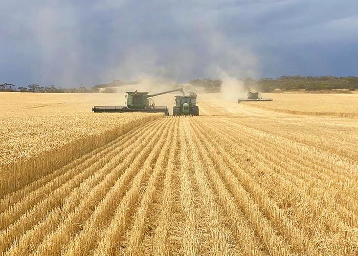Bute breaks records as SA heads for bumper harvest post image