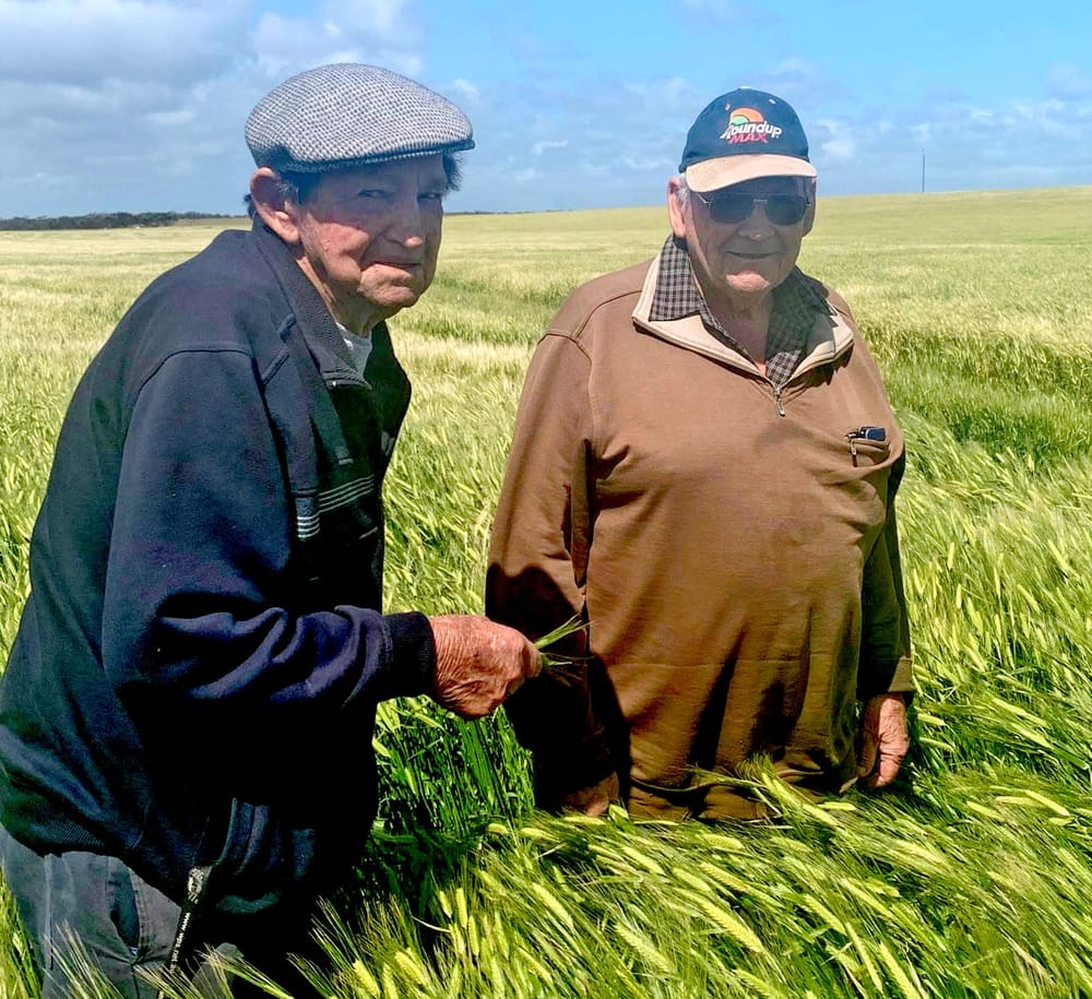 Farming in the blood for Andrews brothers post image