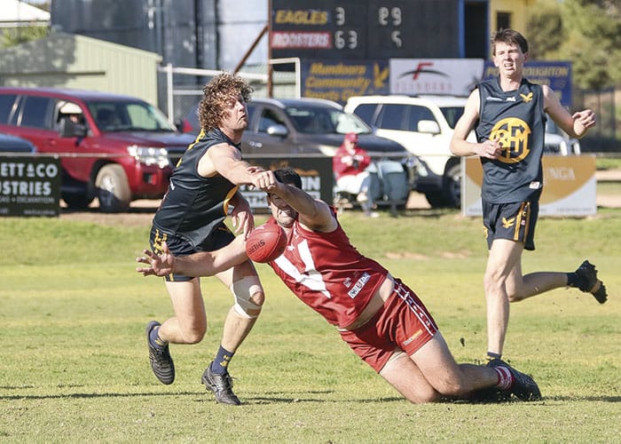 NAFA: Roosters reign supreme over arch-rivals post image