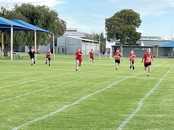 NYP Little Athletics post image