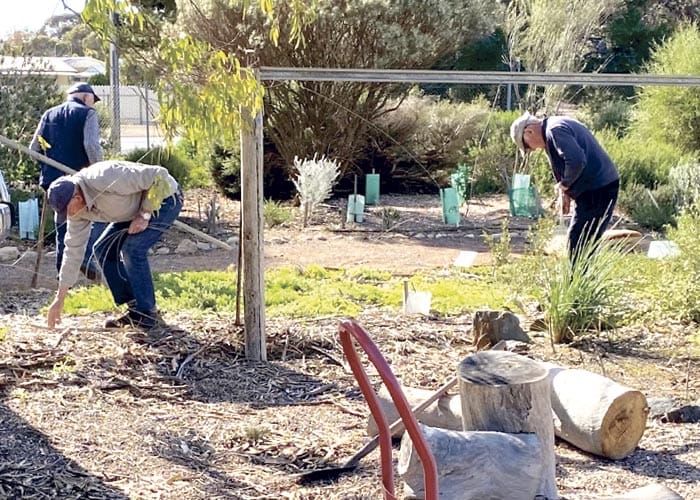 NYP Australian Plants Society holds Open Day post image