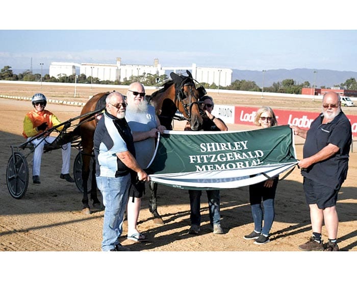 YP harness racing post image