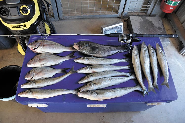 Tough penalties for fishing offences post image