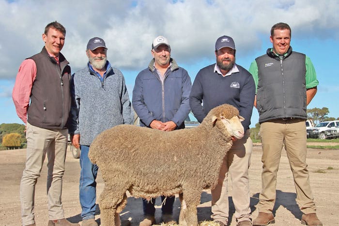 Record-breaking ram sale for North Cowie post image