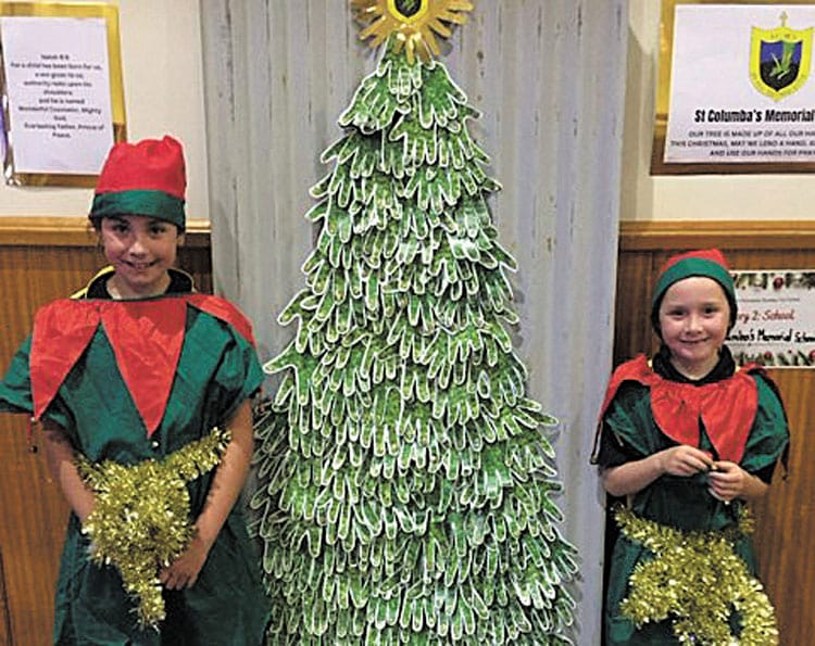 Christmas tree festival proves a hit post image
