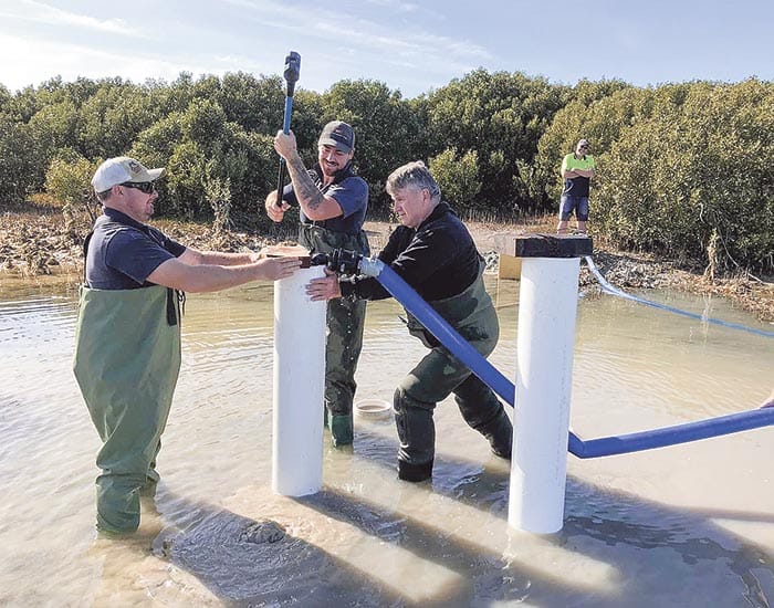 Platform to protect endangered osprey post image