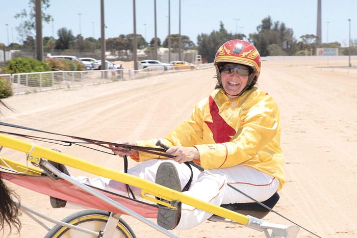 YP harness racing post image