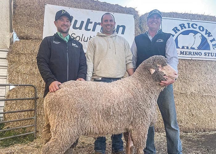 Pleasing year at Carricowie post image