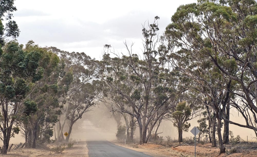 Protect soils and yields with advice from an expert panel post image