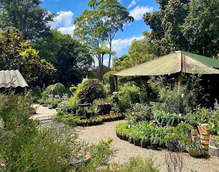 Firstival invites locals to try something new at libraries across South Australia post image