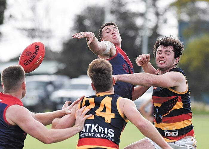 YPFL... Week one of finals done and dusted post image