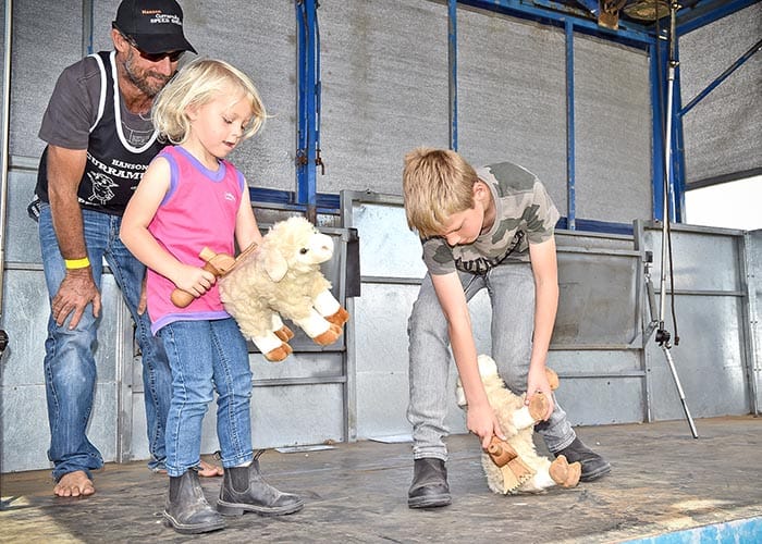 Speed shear success post image