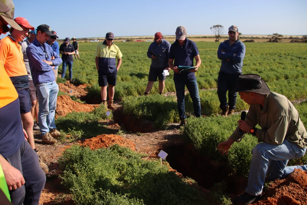 NSS holds final crop walk of season post image