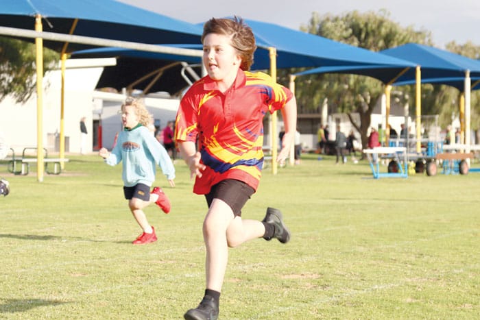 NYP Little Athletics post image