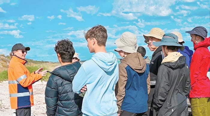 Lending a hand in the sand post image