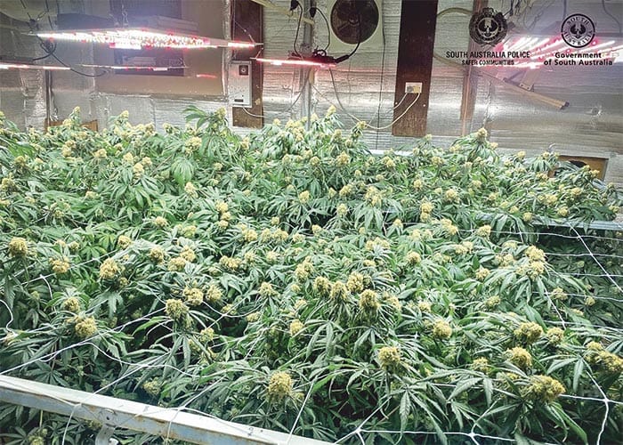 Police News... Father and daughter found safe after national alert post image