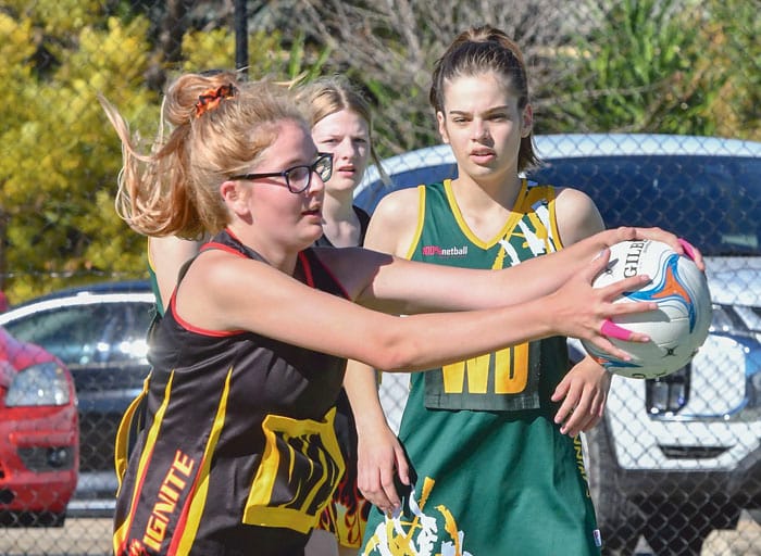 Netball: KDNA scores and reports post image