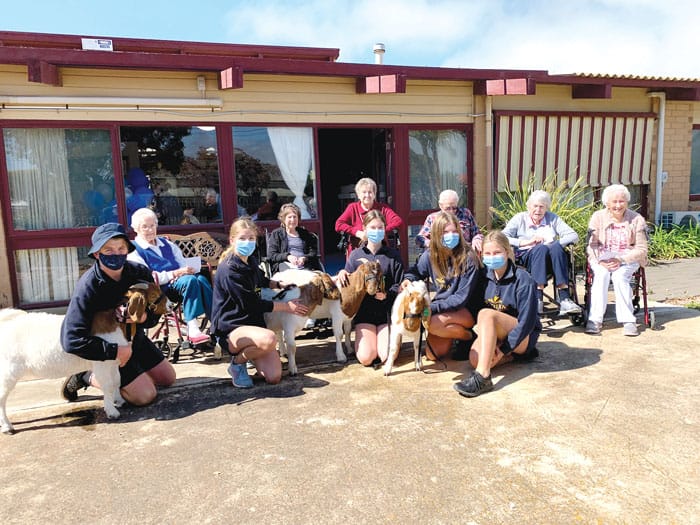 Show goes on for KMS goats post image