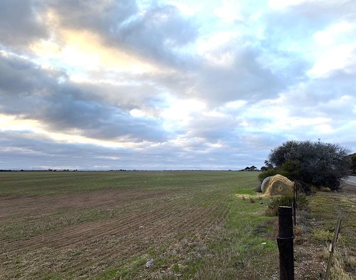 Harvest hanging on more rain post image