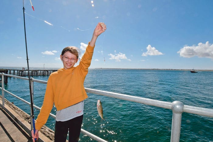 Potential rec fishing licences floated post image