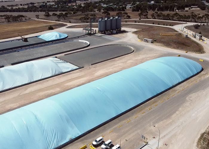 Viterra set to buy Maitland grain site post image