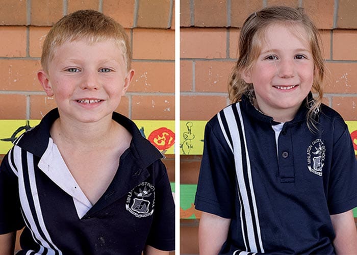 Stand back from the mozzies! post image