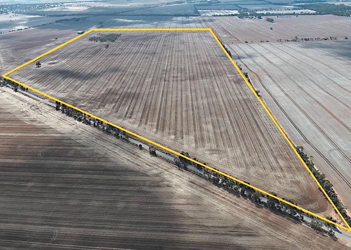 $4.75m paddock pays out post image