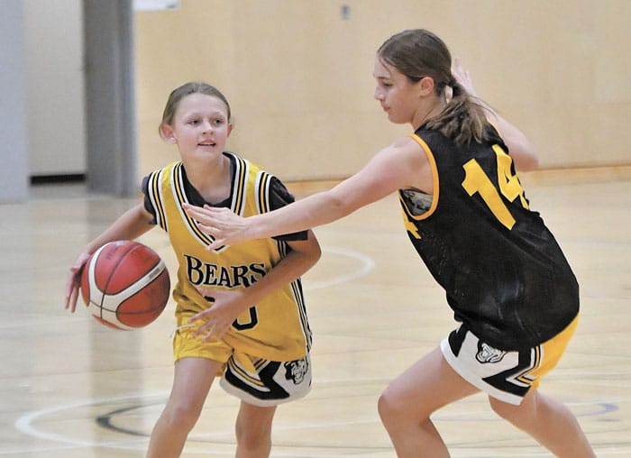 Forfeits lead to sparse stadium post image