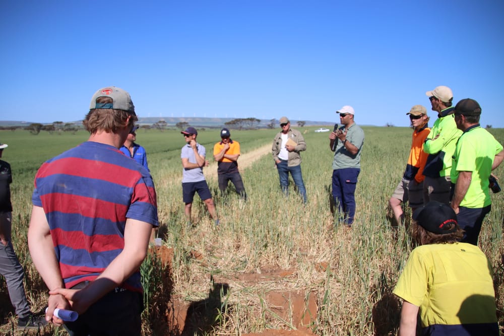 NYP growers take a crop walk post image