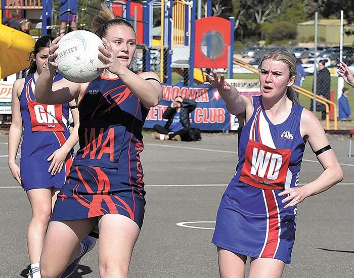 YPNA scores and report post image