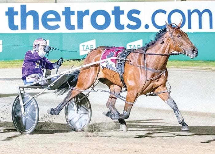 Encipher on the rise post image