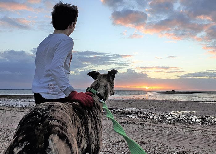 Council to hold off on Fisherman Bay fences post image