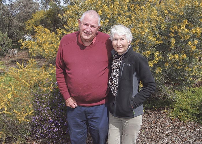 Carers celebrated for their vital roles post image